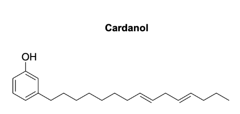 카다놀(Cardanol)